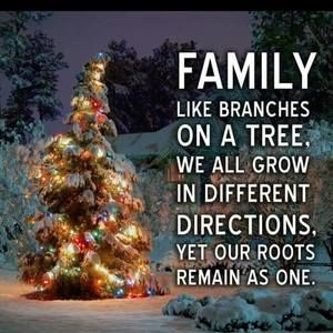 Meet your Posher, Cari